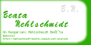 beata mehlschmidt business card